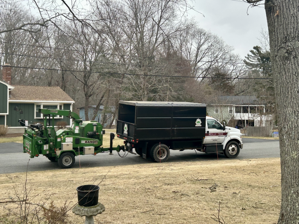 Reilly Tree & Landscape - Plainville, MA
