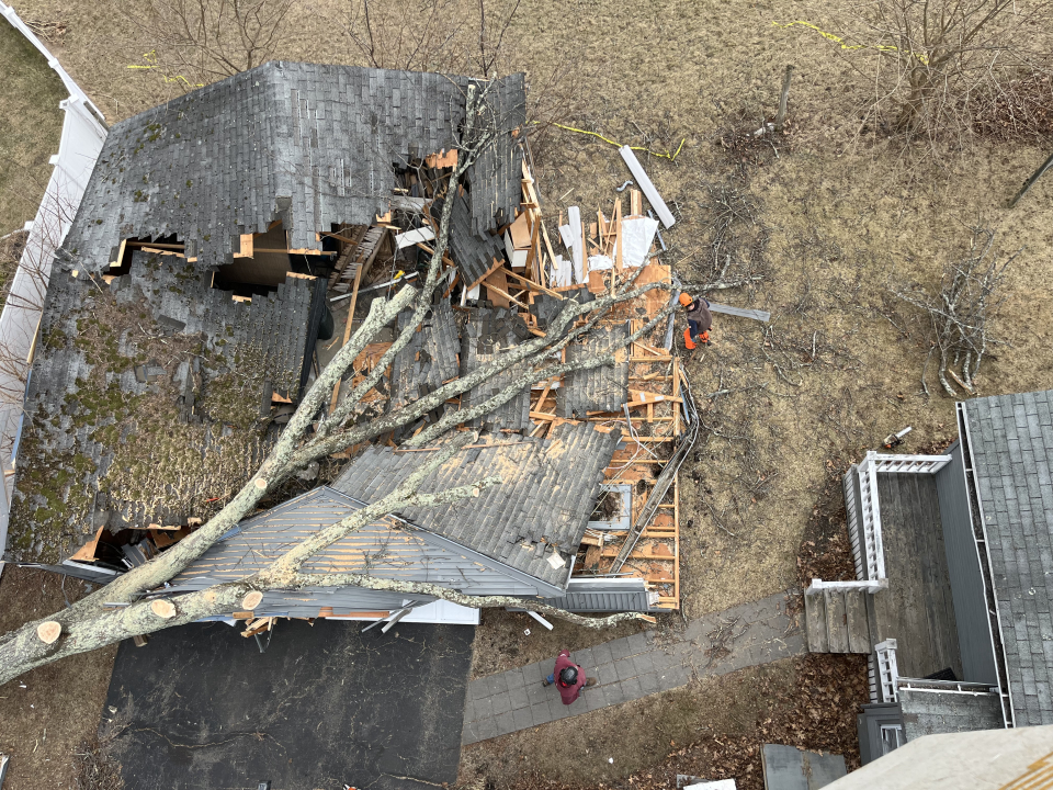 Reilly Tree & Landscape - Plainville, MA
