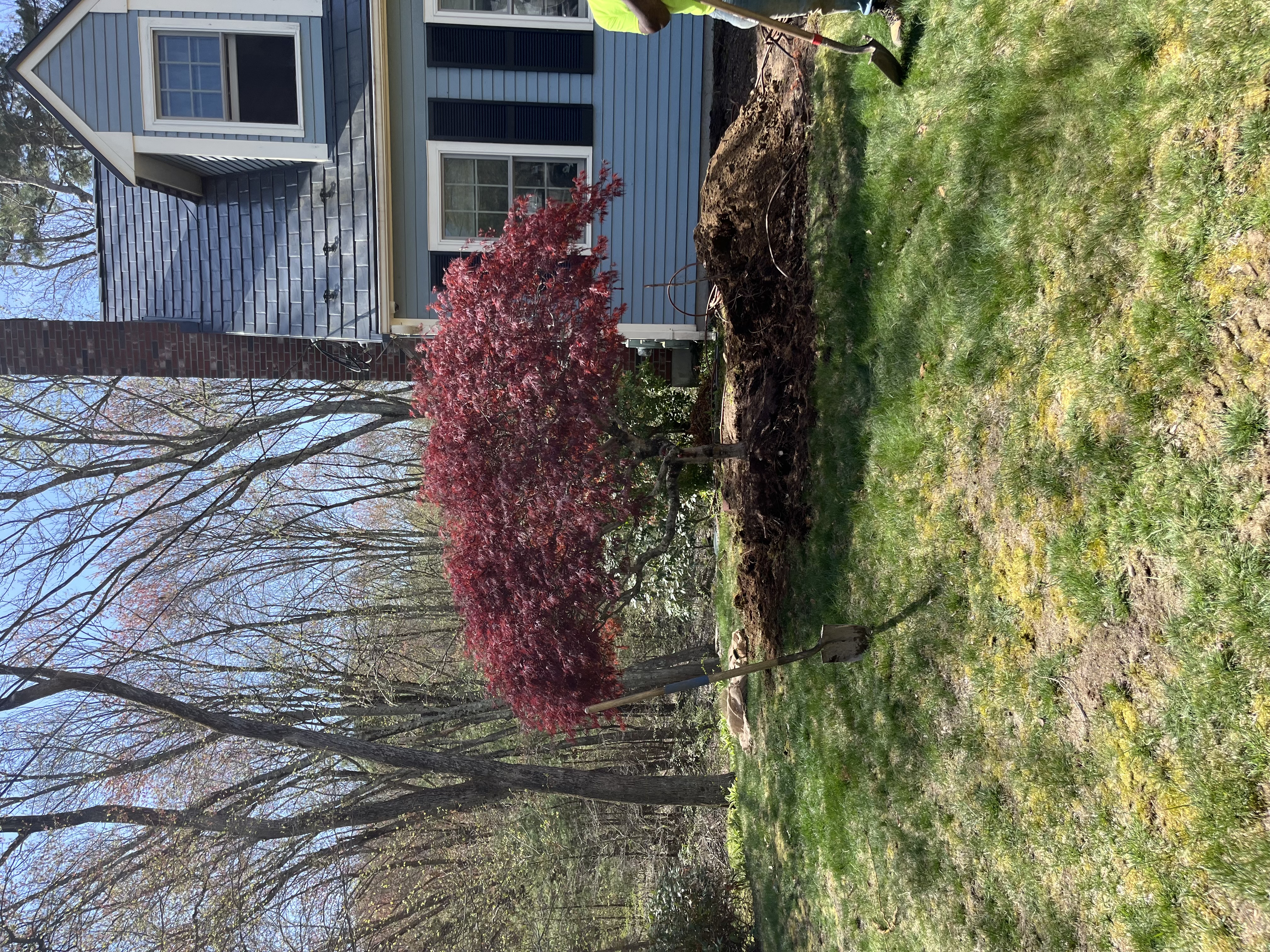 Reilly Tree & Landscape - Plainville, MA