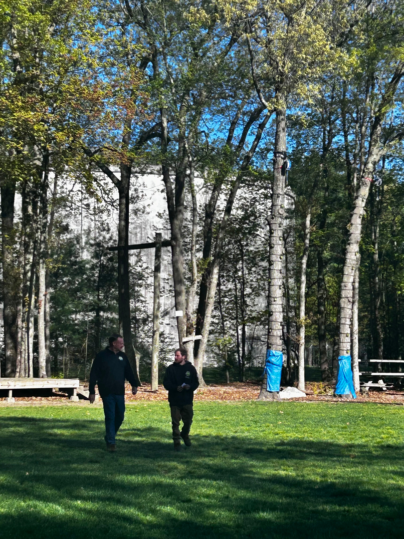 Reilly Tree & Landscape - Plainville, MA
