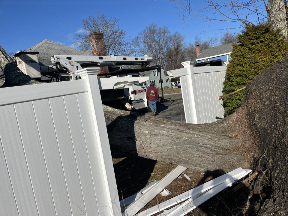 Reilly Tree & Landscape - Plainville, MA