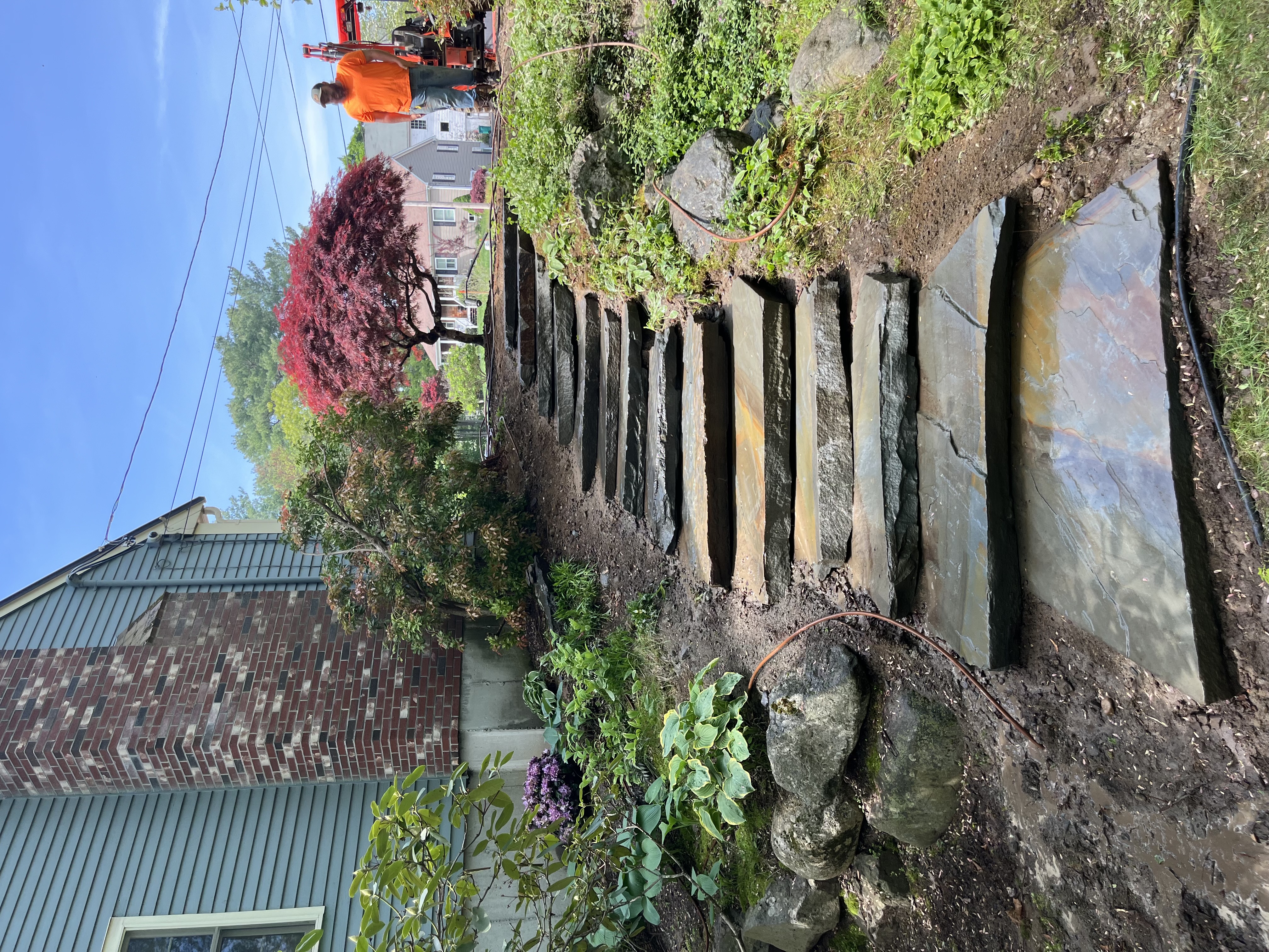 Reilly Tree & Landscape - Plainville, MA