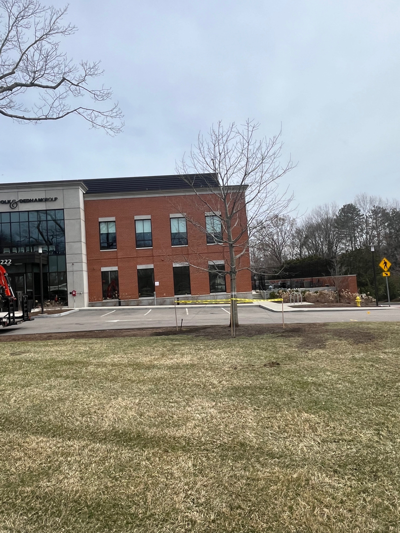 Reilly Tree & Landscape - Plainville, MA