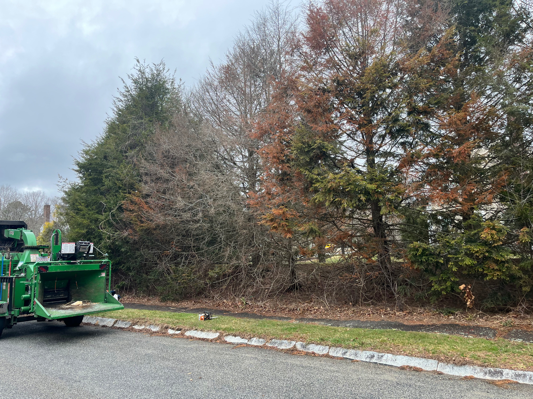 Reilly Tree & Landscape - Plainville, MA