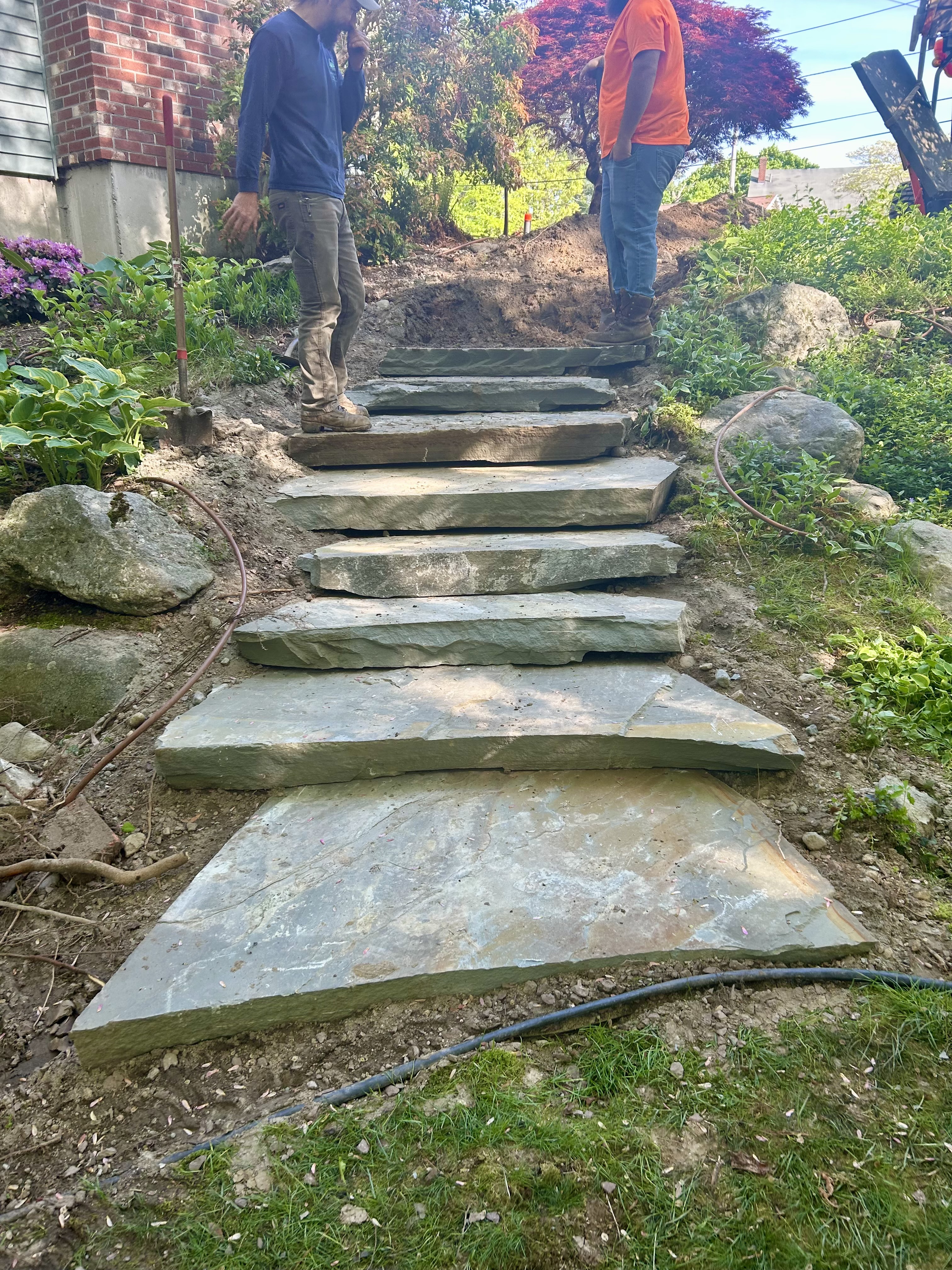 Reilly Tree & Landscape - Plainville, MA