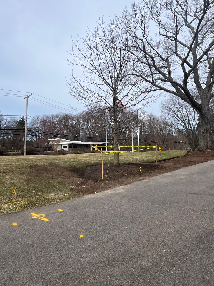 Reilly Tree & Landscape - Plainville, MA