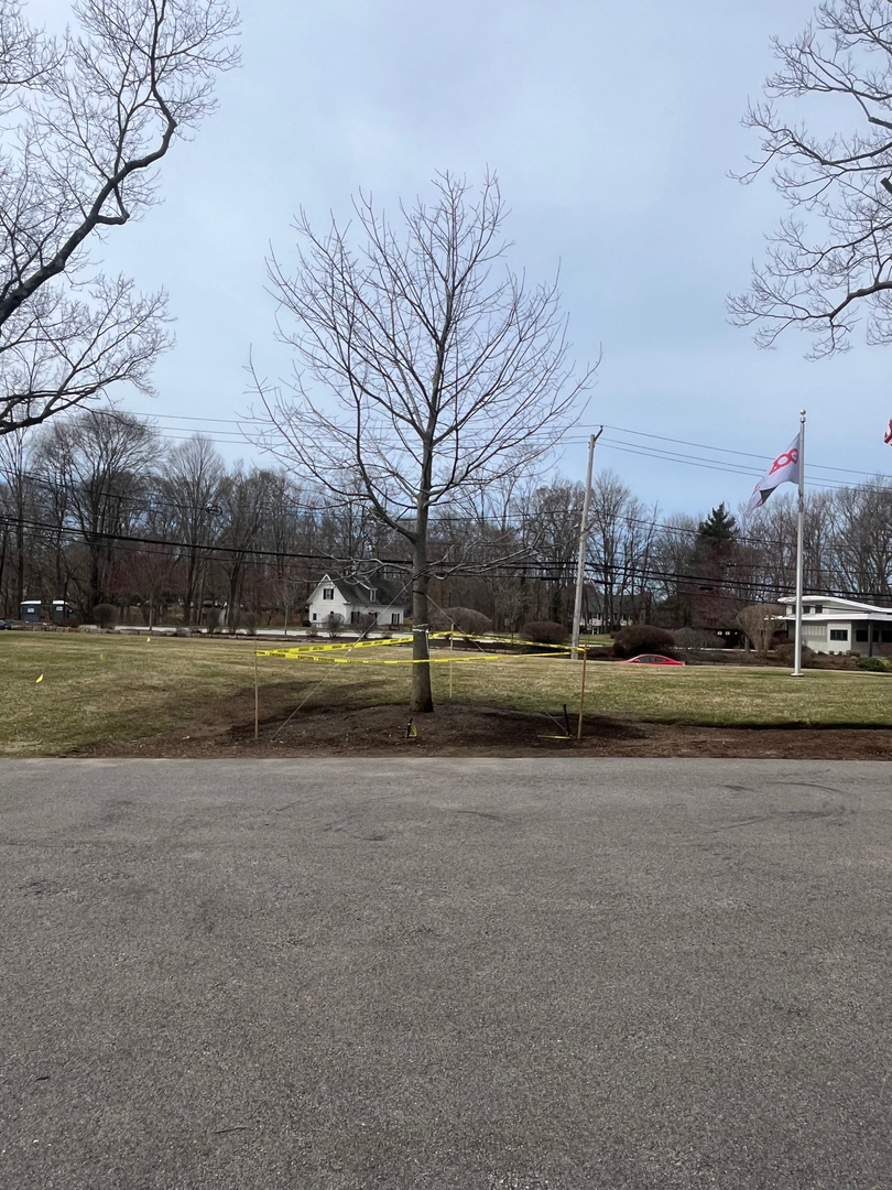 Reilly Tree & Landscape - Plainville, MA