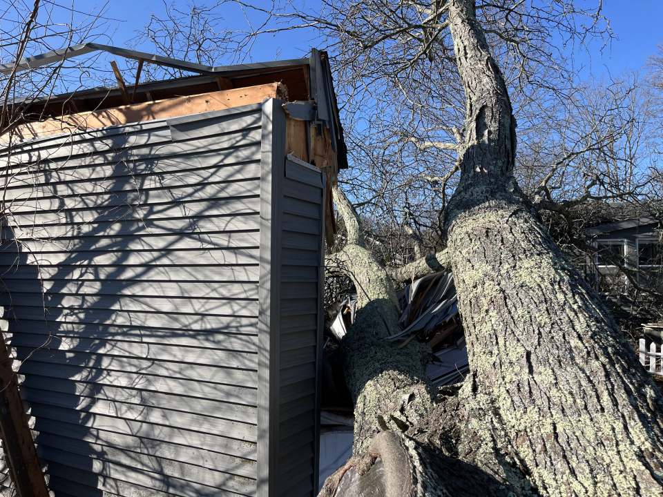 Reilly Tree & Landscape - Plainville, MA