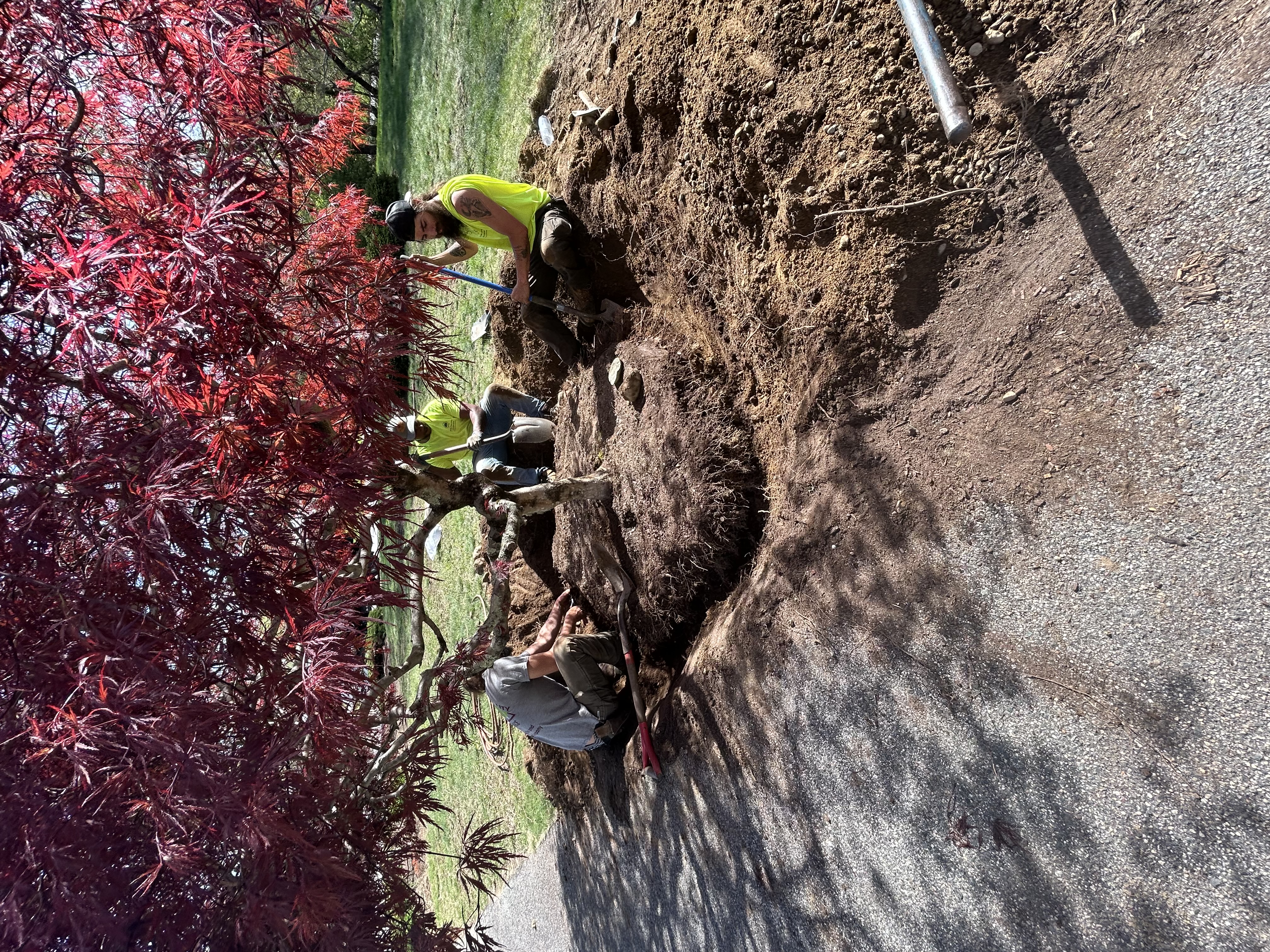 Reilly Tree & Landscape - Plainville, MA