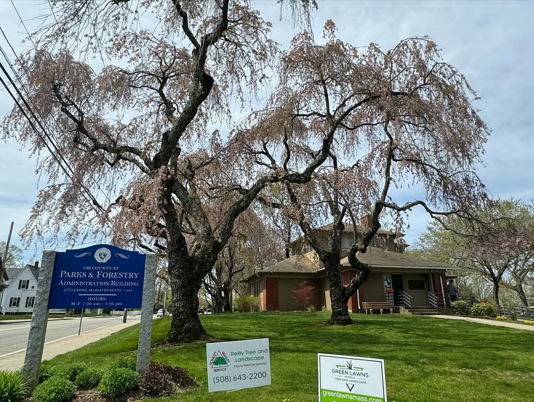 Reilly Tree & Landscape - Plainville, MA