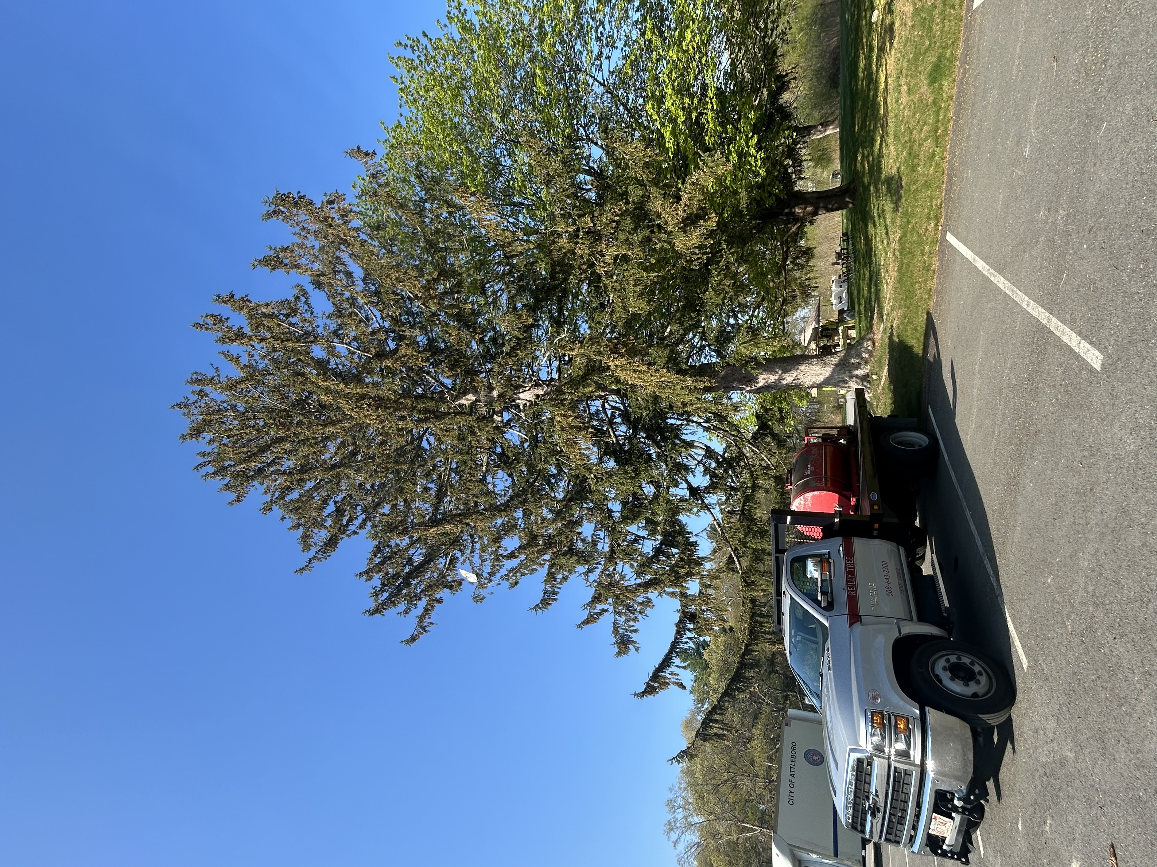 Reilly Tree & Landscape - Plainville, MA