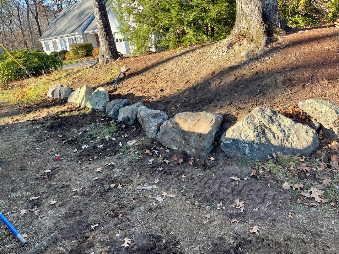 Reilly Tree & Landscape - Plainville, MA