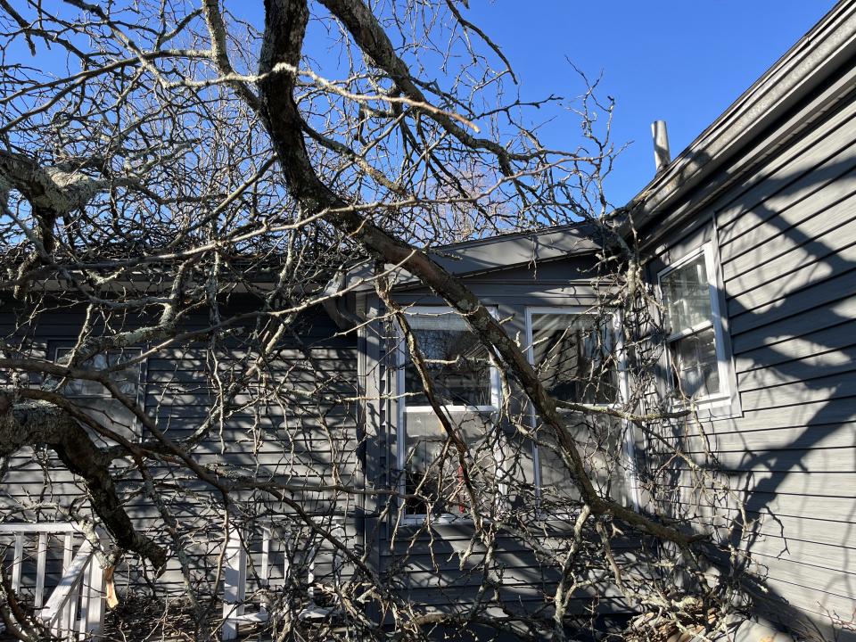 Reilly Tree & Landscape - Plainville, MA