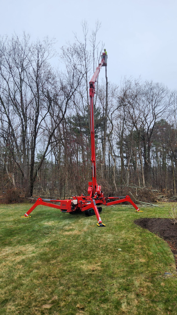 Reilly Tree & Landscape - Plainville, MA