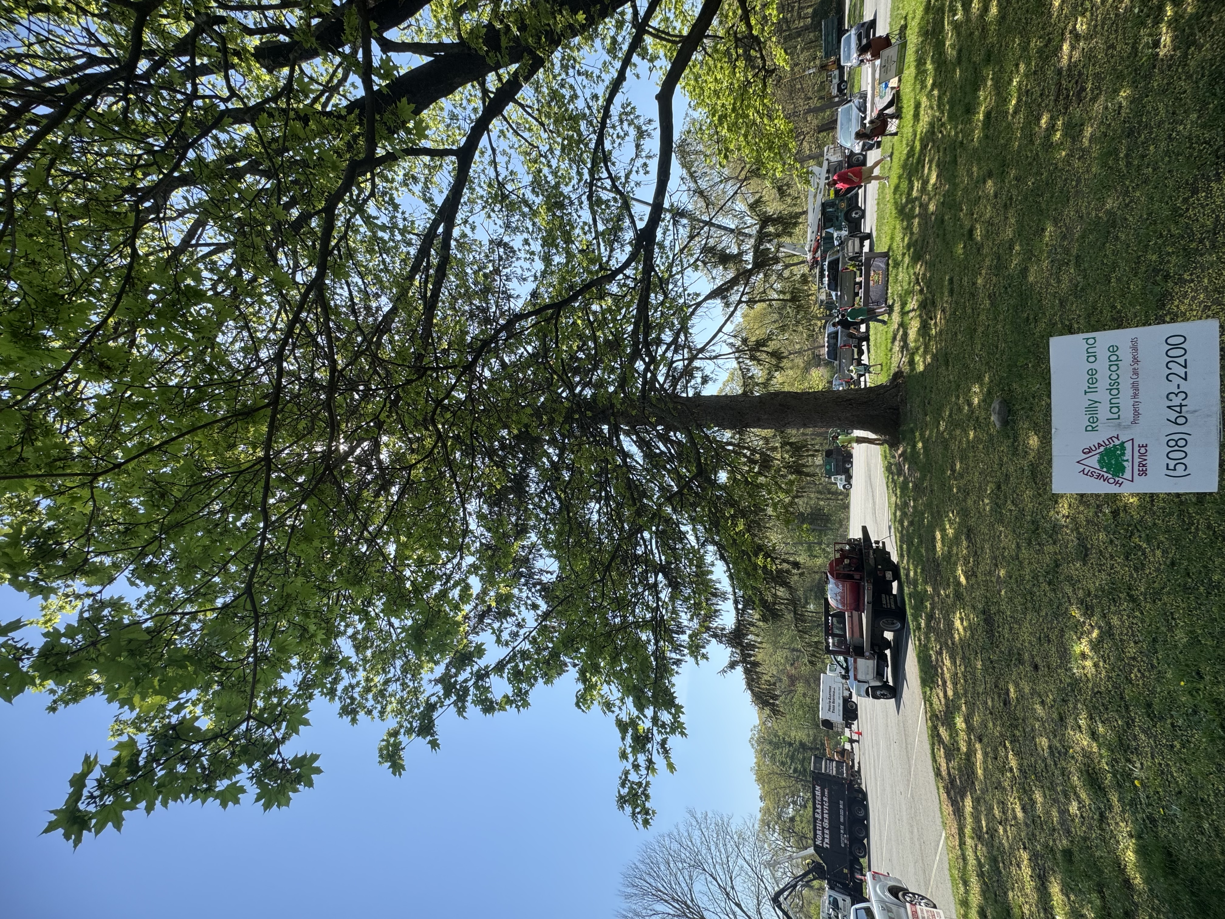 Reilly Tree & Landscape - Plainville, MA