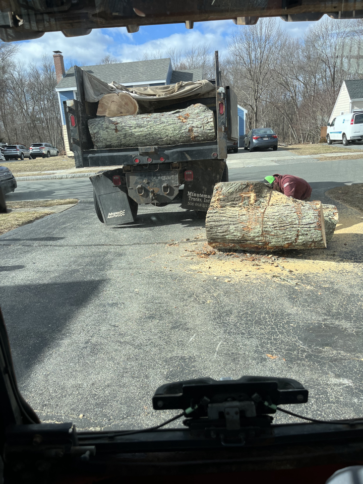 Reilly Tree & Landscape - Plainville, MA
