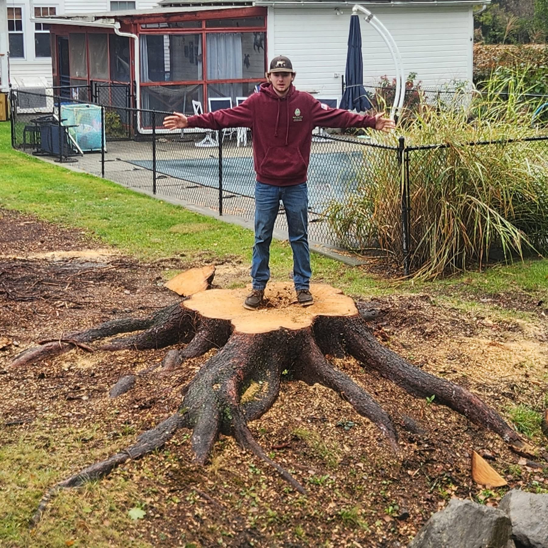 Reilly Tree & Landscape - Plainville, MA