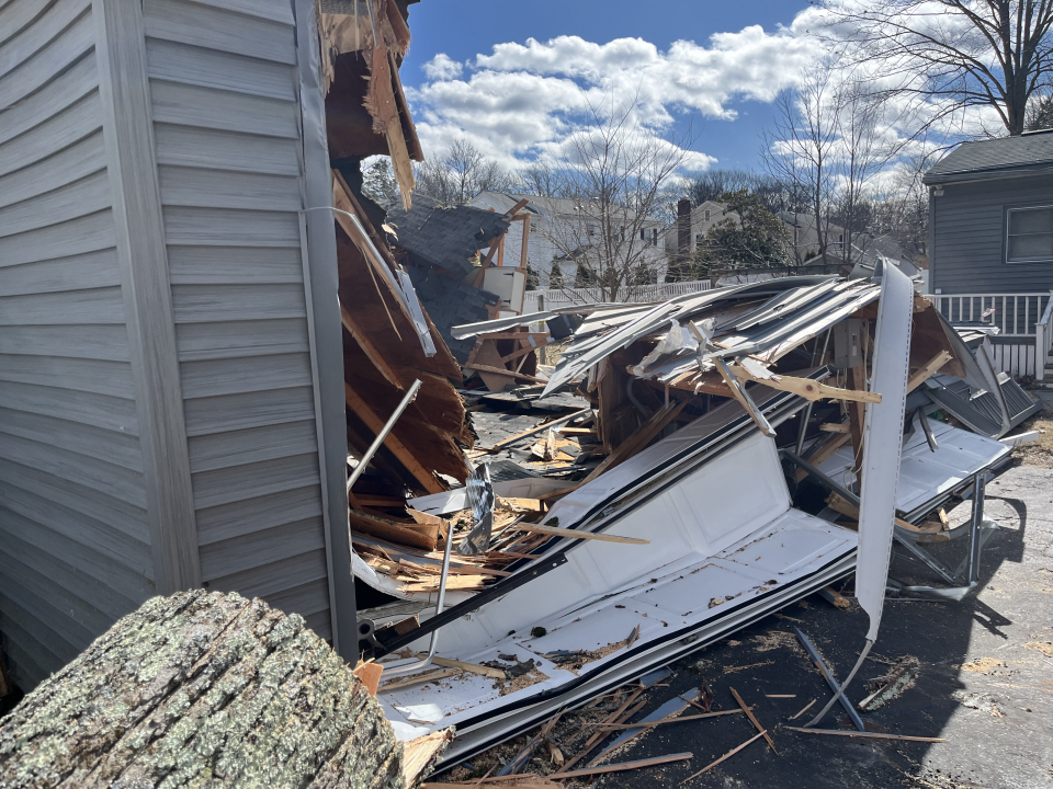 Reilly Tree & Landscape - Plainville, MA