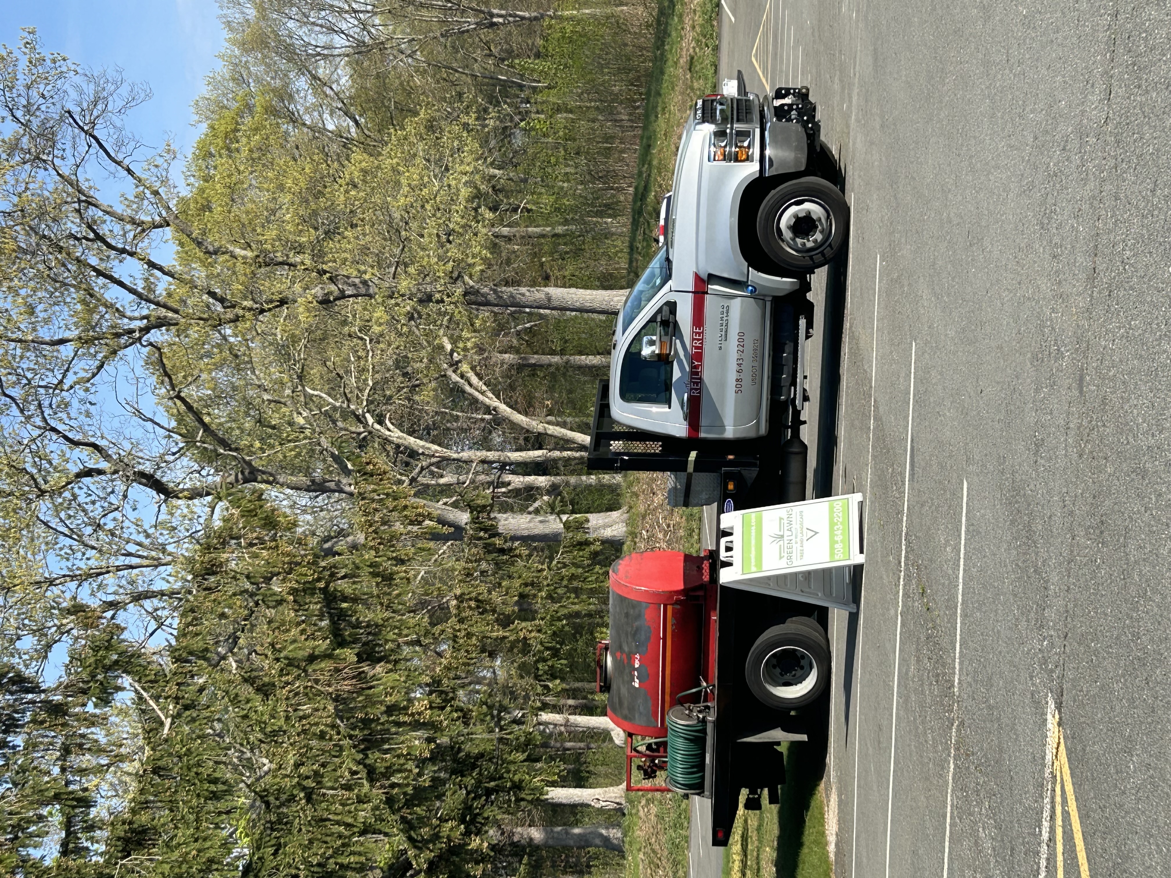 Reilly Tree & Landscape - Plainville, MA