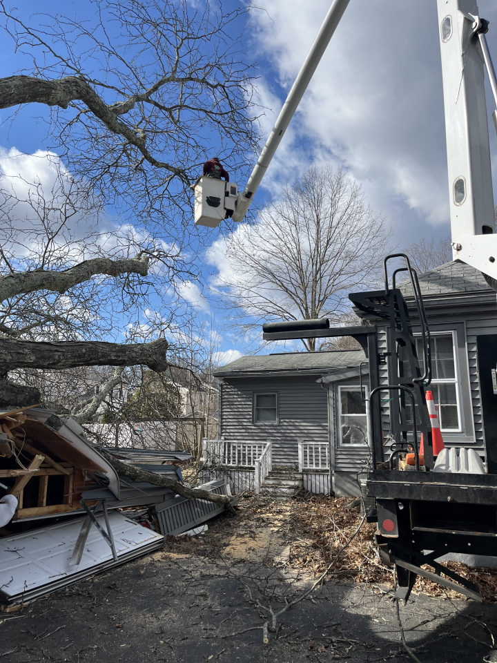 Reilly Tree & Landscape - Plainville, MA