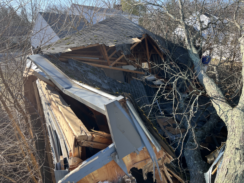Reilly Tree & Landscape - Plainville, MA