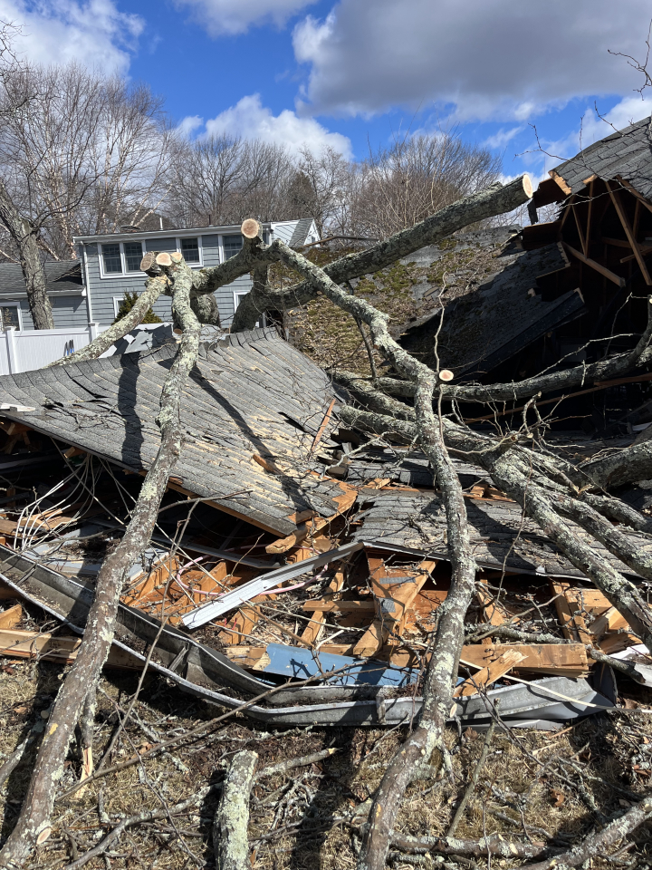 Reilly Tree & Landscape - Plainville, MA