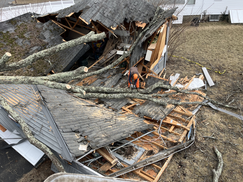 Reilly Tree & Landscape - Plainville, MA