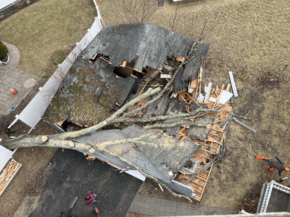 Reilly Tree & Landscape - Plainville, MA