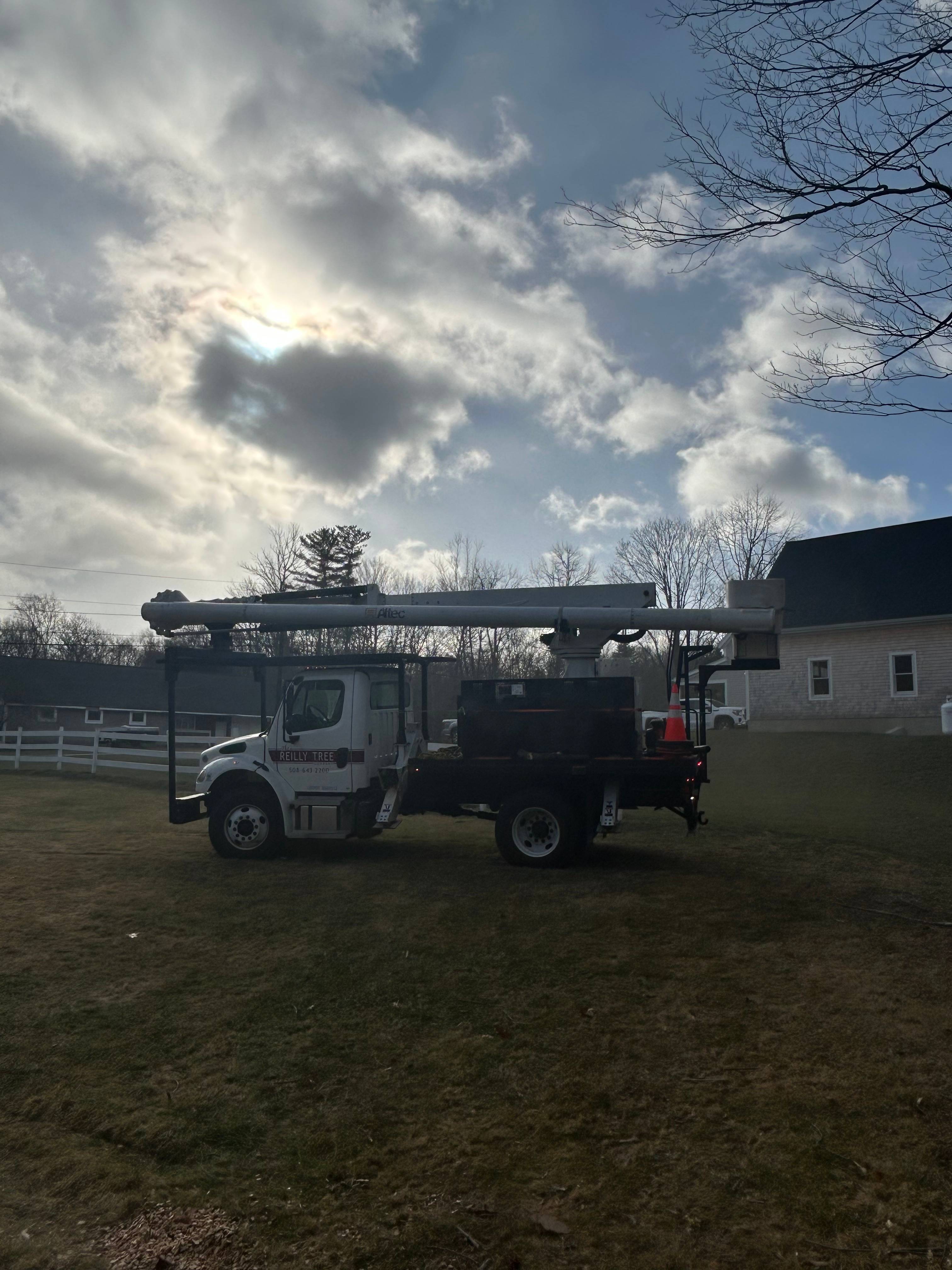 Reilly Tree & Landscape - Plainville, MA
