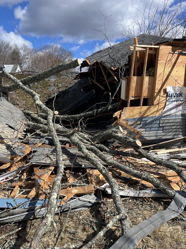 Reilly Tree & Landscape - Plainville, MA