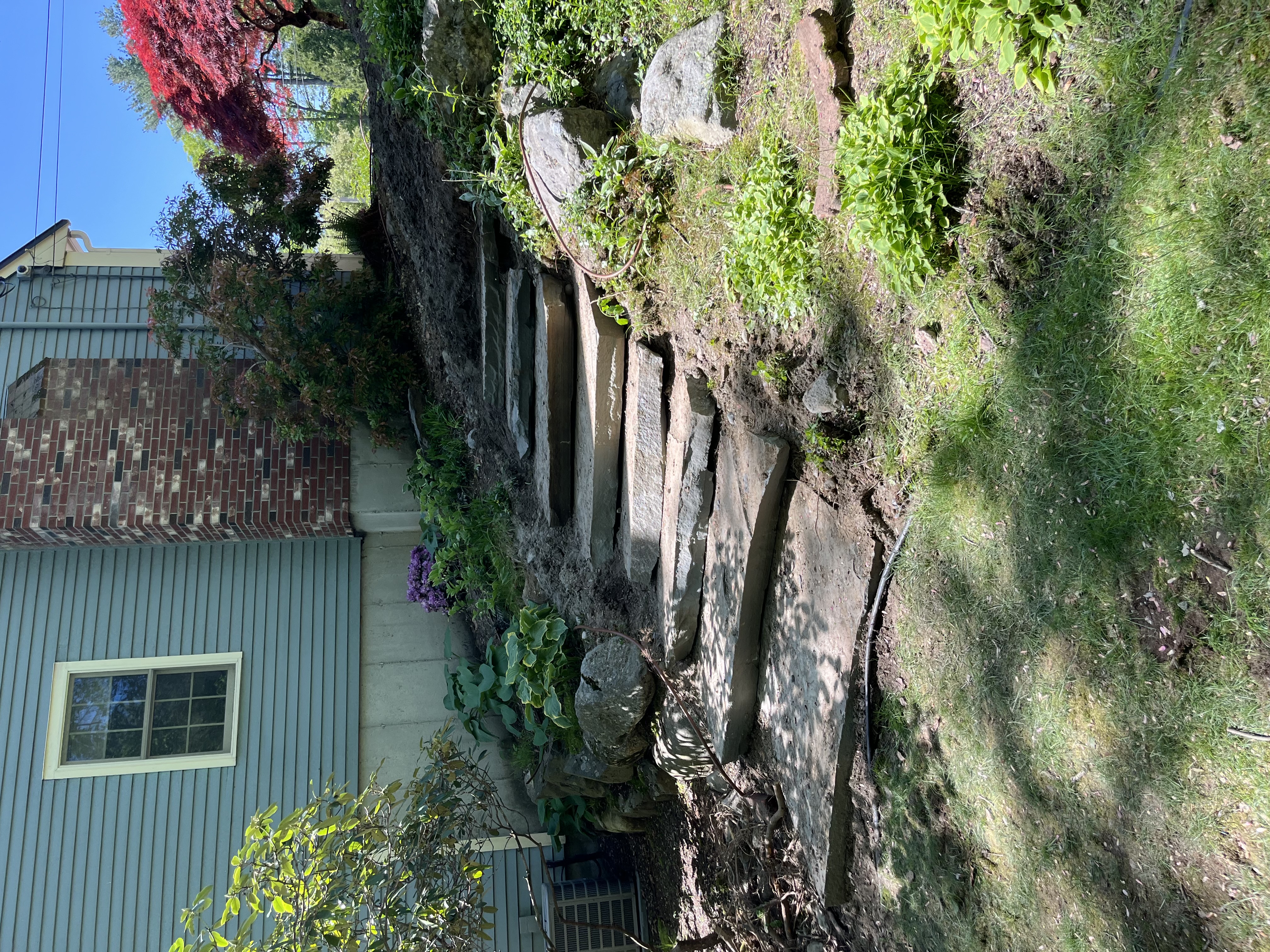 Reilly Tree & Landscape - Plainville, MA