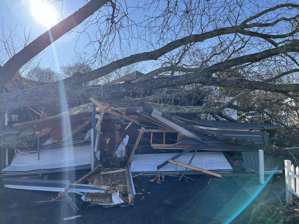 Reilly Tree & Landscape - Plainville, MA