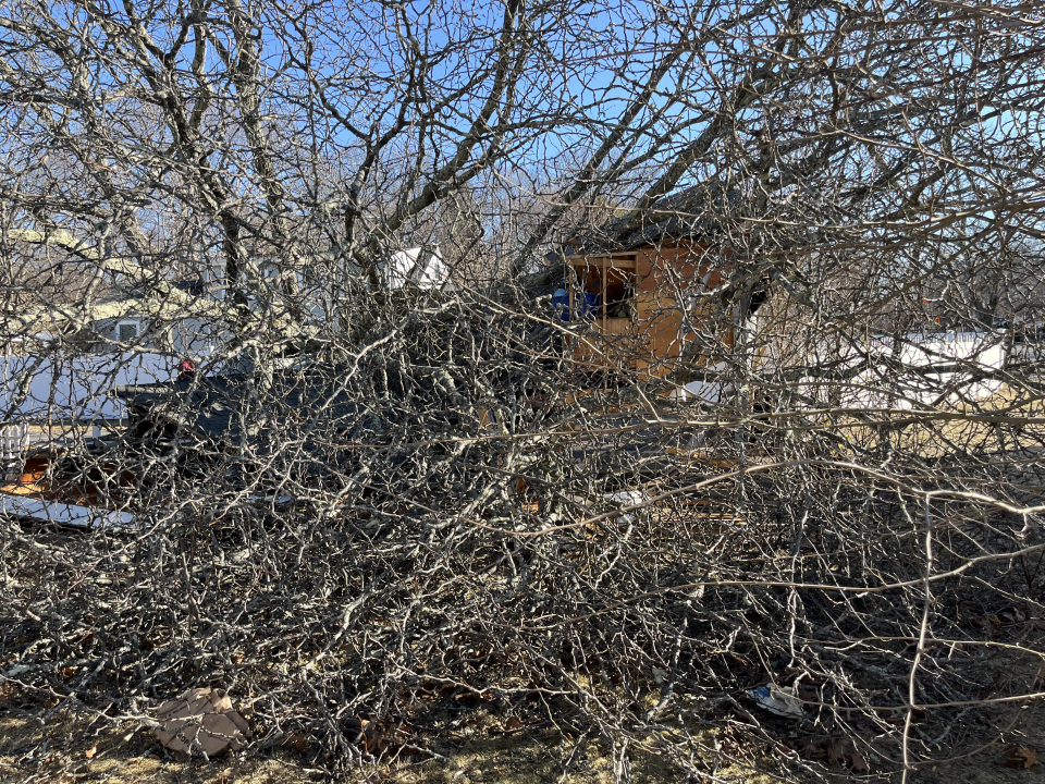 Reilly Tree & Landscape - Plainville, MA