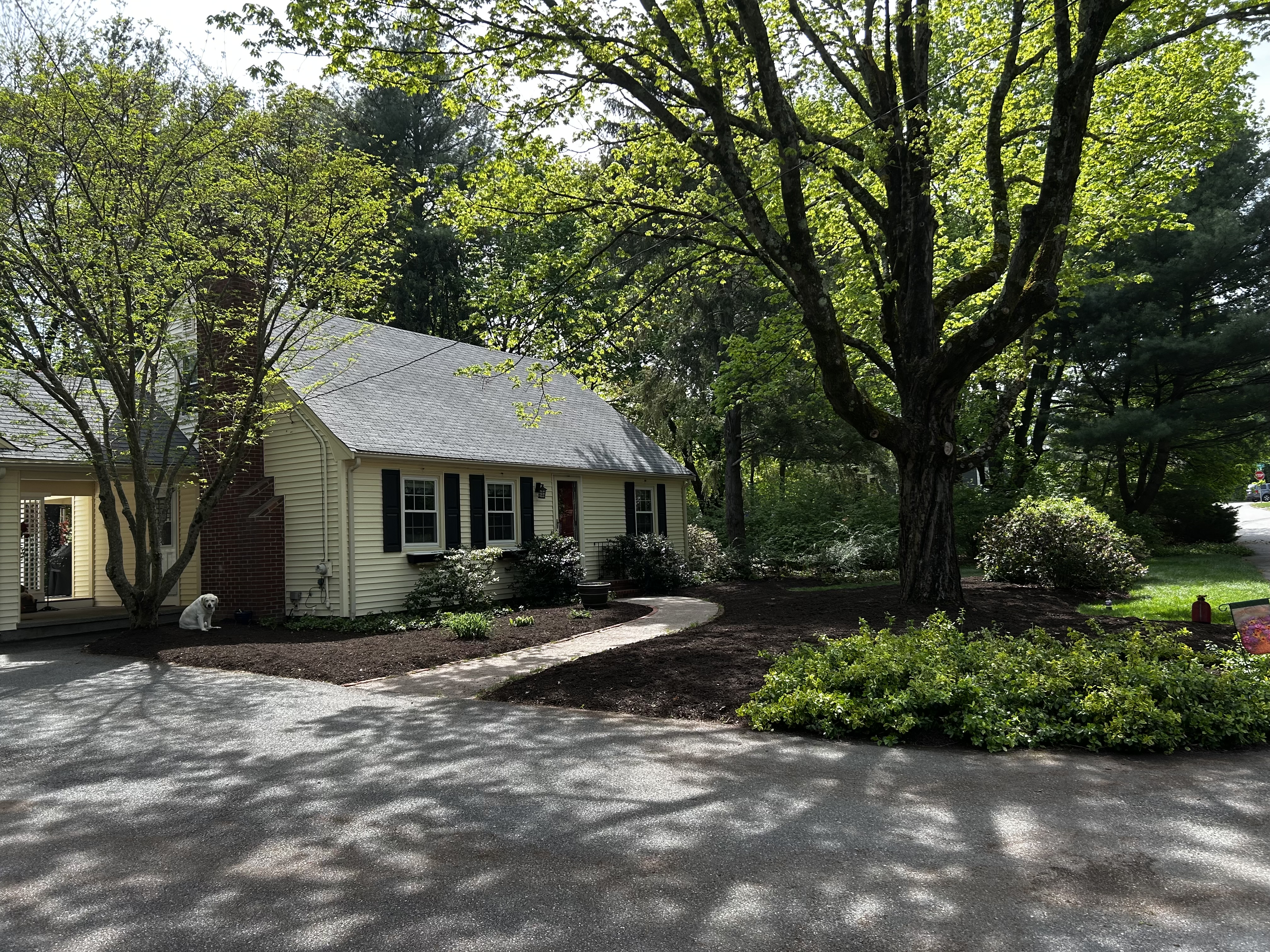 Reilly Tree & Landscape - Plainville, MA