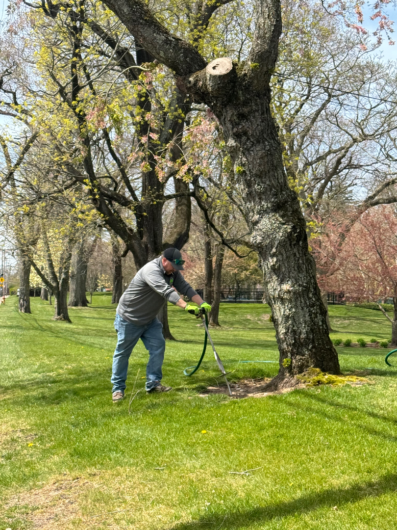 Reilly Tree & Landscape - Plainville, MA