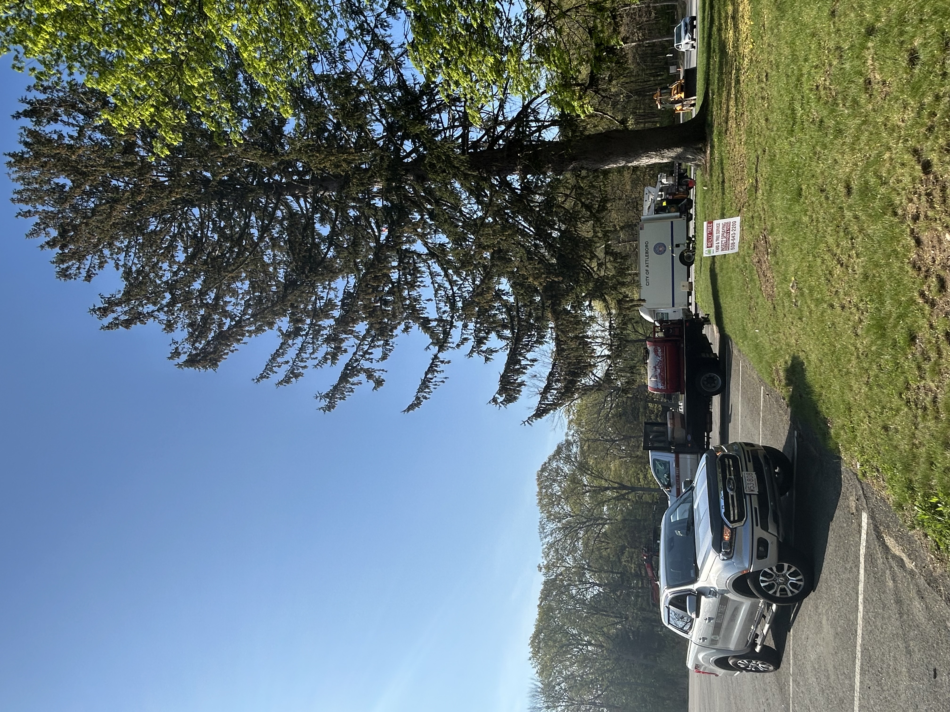 Reilly Tree & Landscape - Plainville, MA