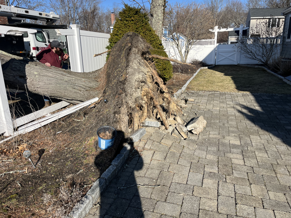 Reilly Tree & Landscape - Plainville, MA
