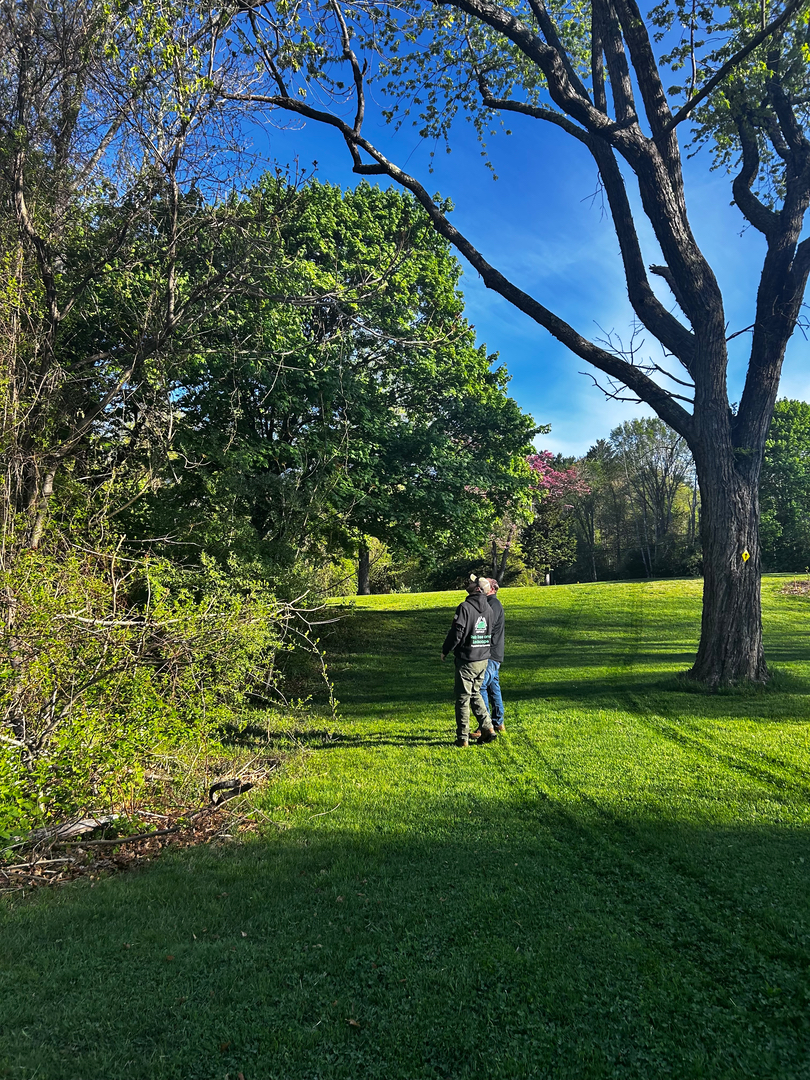 Reilly Tree & Landscape - Plainville, MA