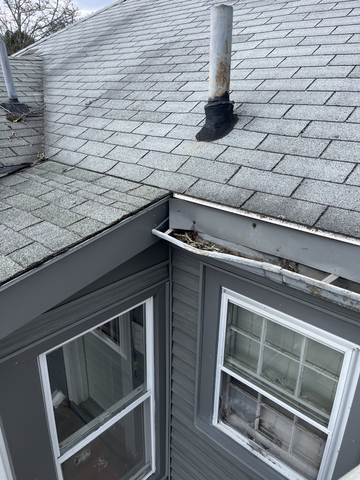 Reilly Tree & Landscape - Plainville, MA