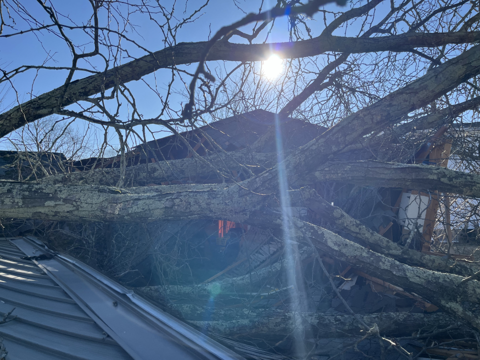 Reilly Tree & Landscape - Plainville, MA
