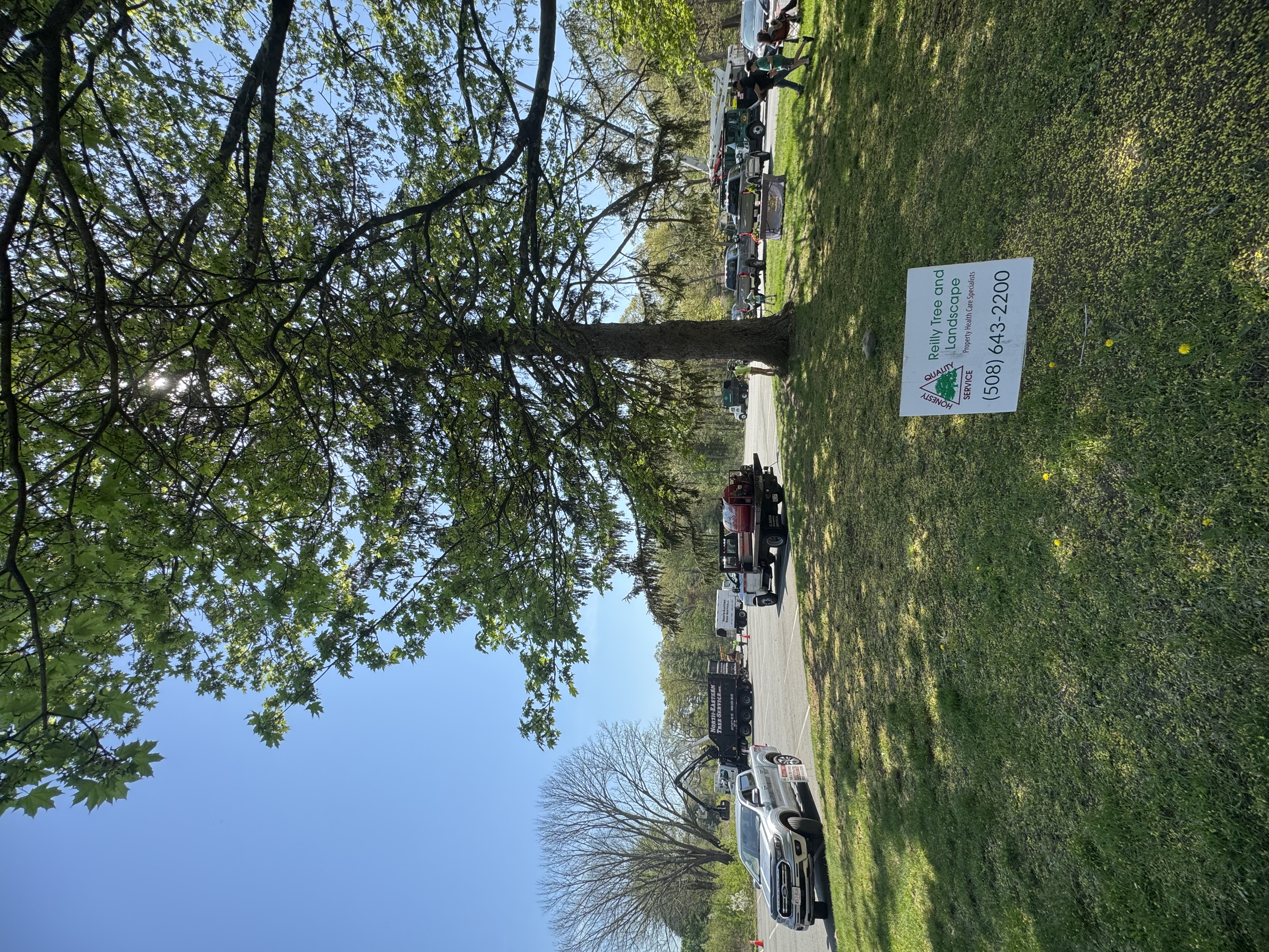 Reilly Tree & Landscape - Plainville, MA