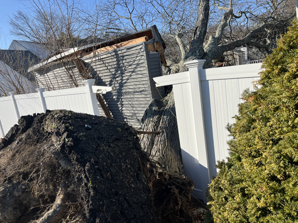 Reilly Tree & Landscape - Plainville, MA