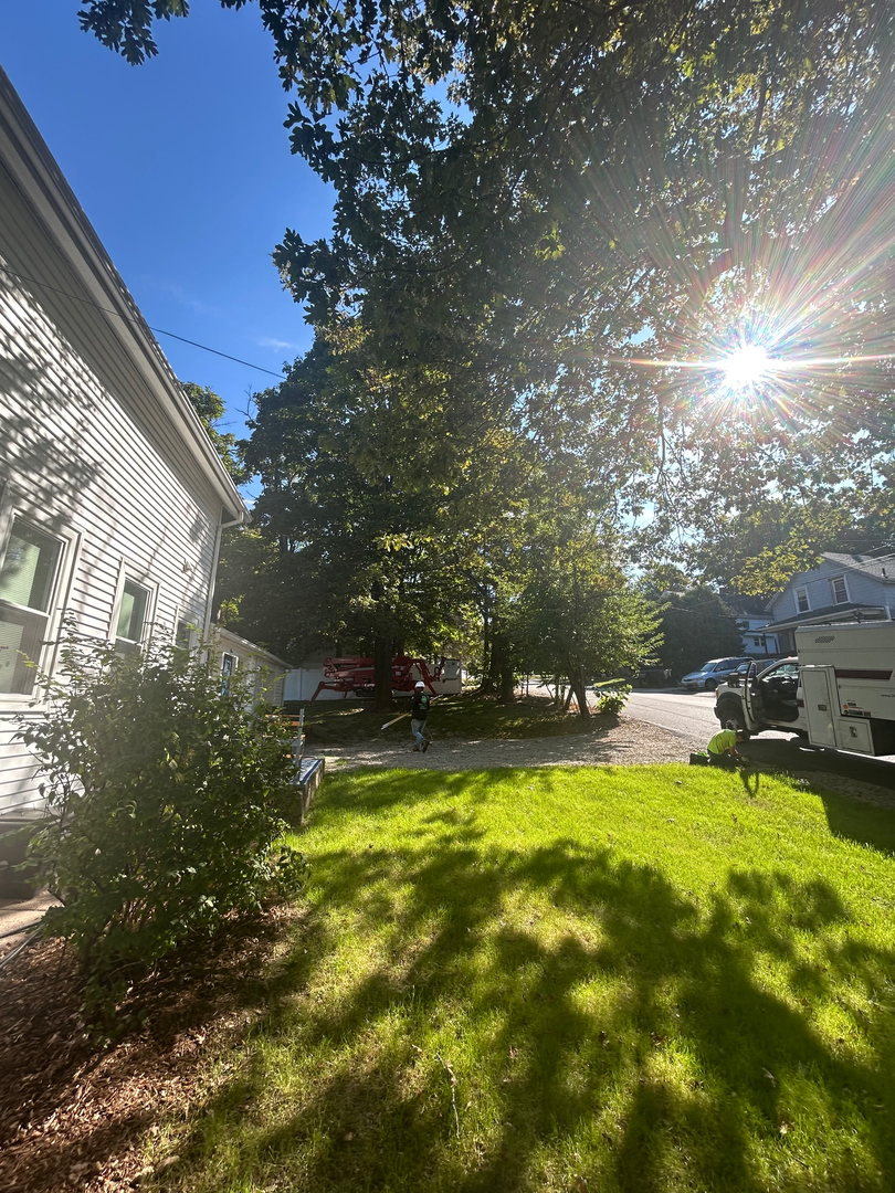 Reilly Tree & Landscape - Plainville, MA