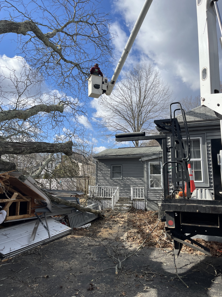 Reilly Tree & Landscape - Plainville, MA