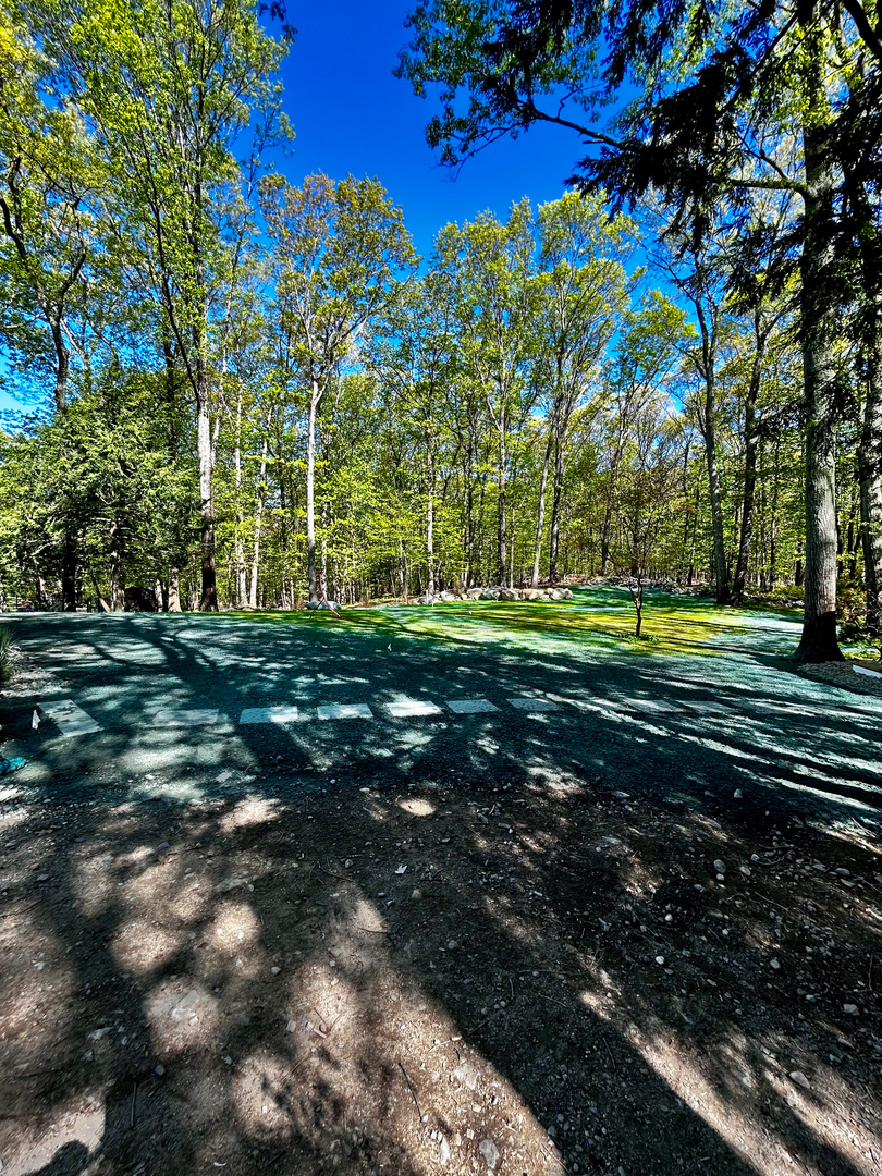 Reilly Tree & Landscape - Plainville, MA