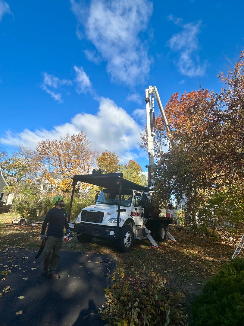 Reilly Tree & Landscape - Plainville, MA
