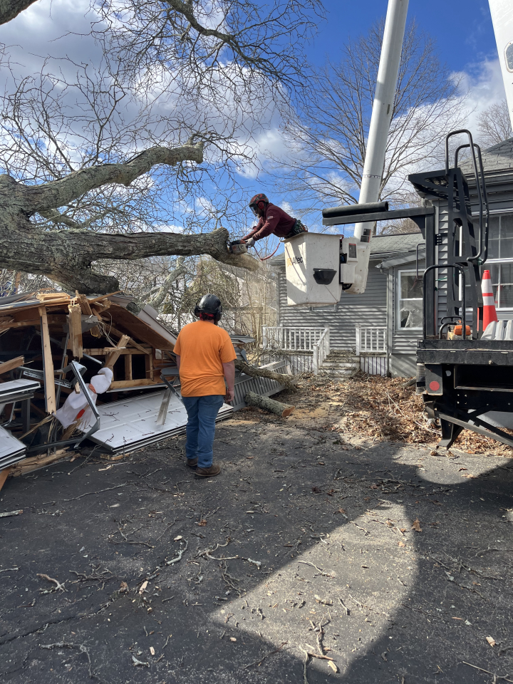 Reilly Tree & Landscape - Plainville, MA