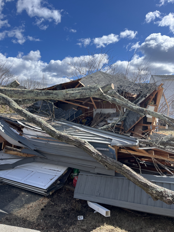 Reilly Tree & Landscape - Plainville, MA