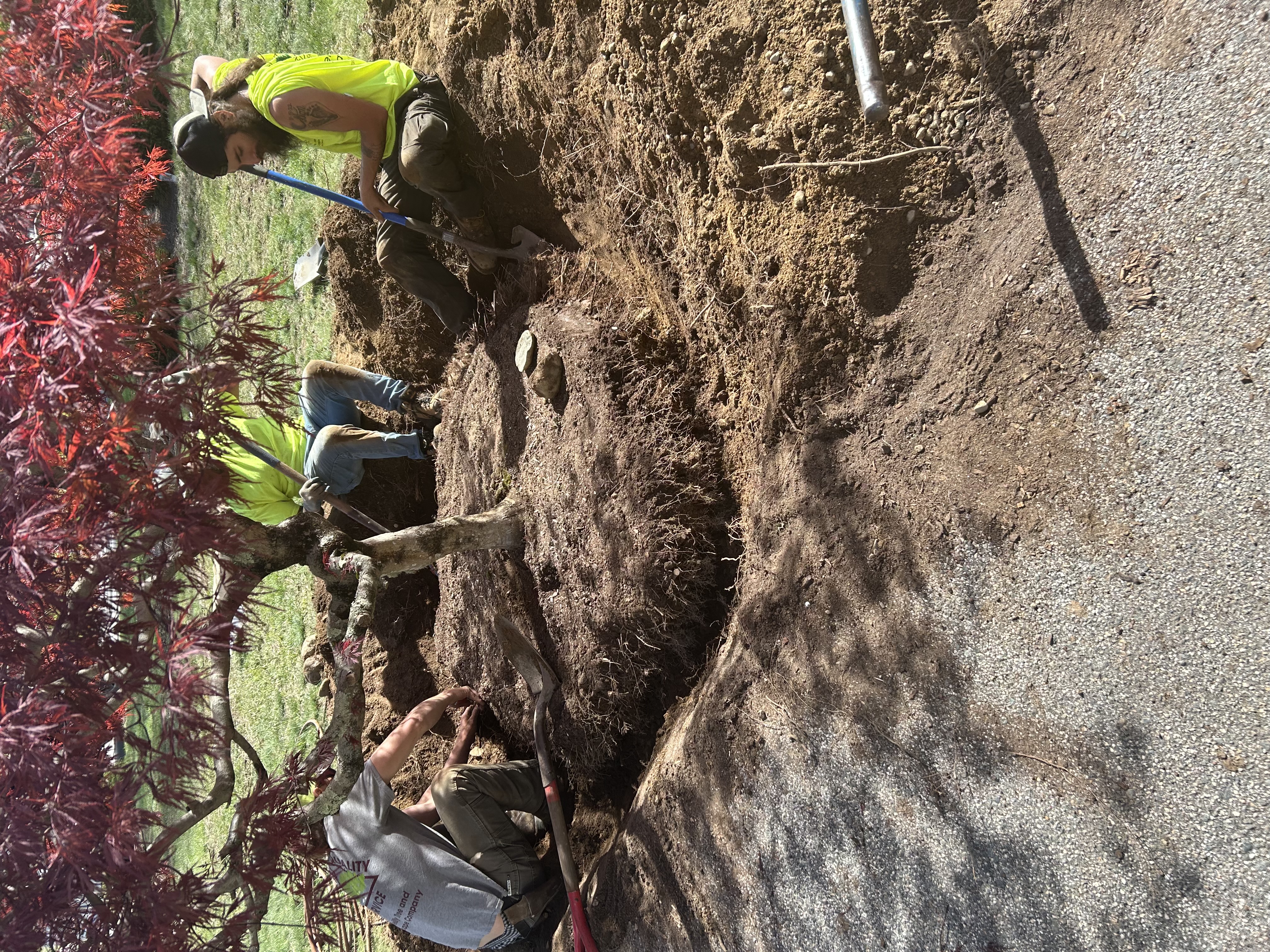 Reilly Tree & Landscape - Plainville, MA