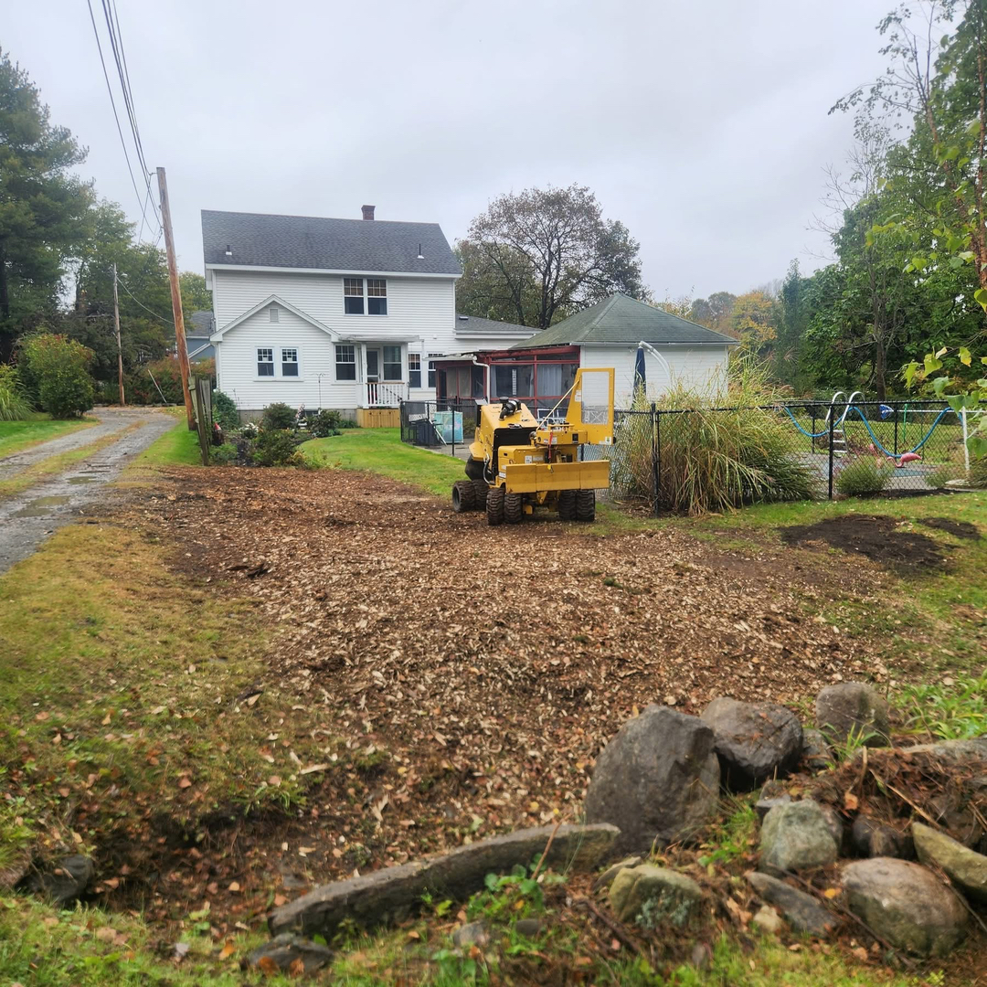 Reilly Tree & Landscape - Plainville, MA